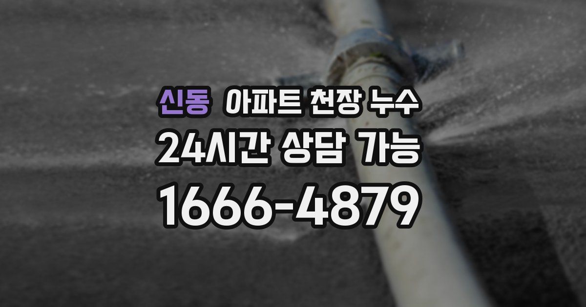 신동 아파트 천장 누수