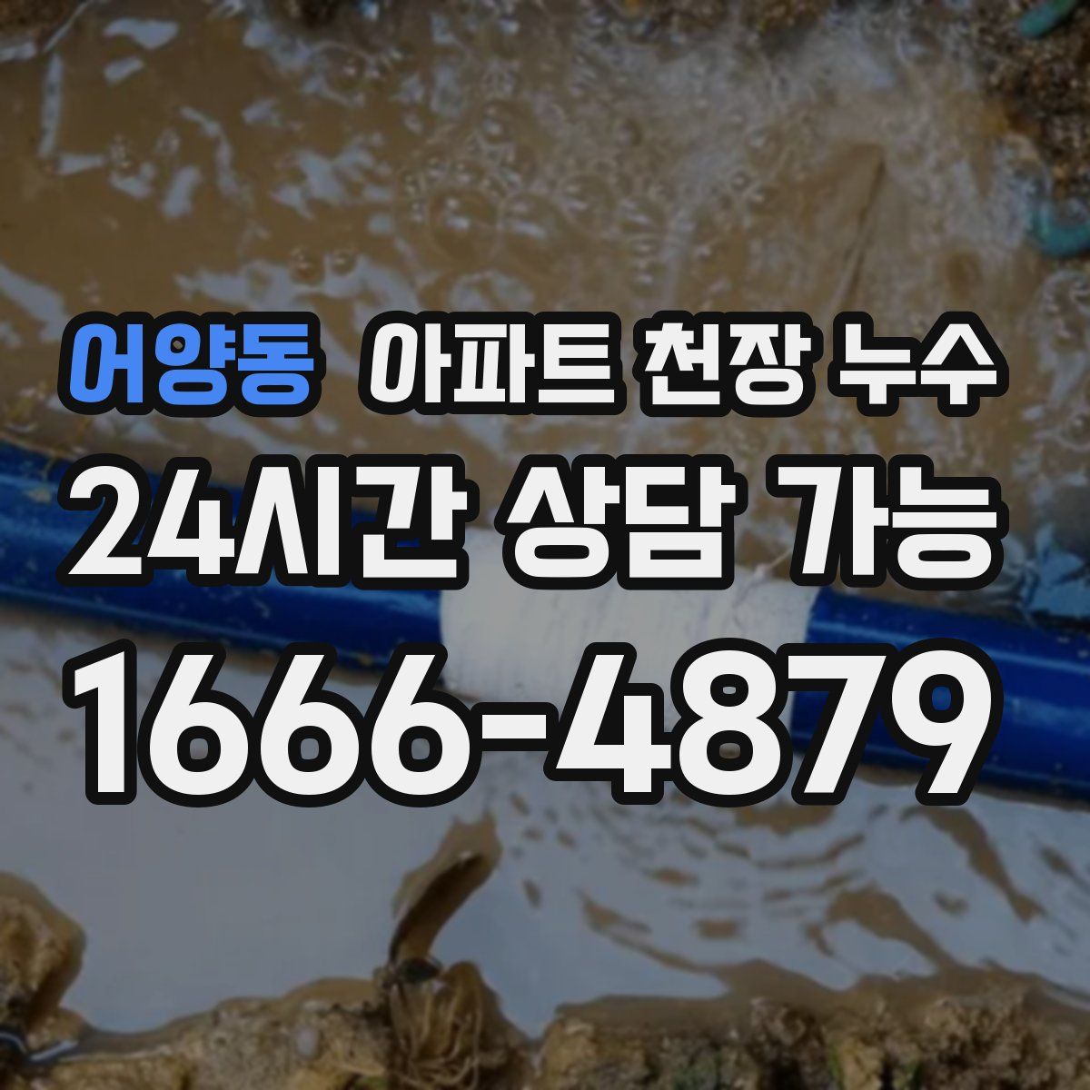 어양동 아파트 천장 누수