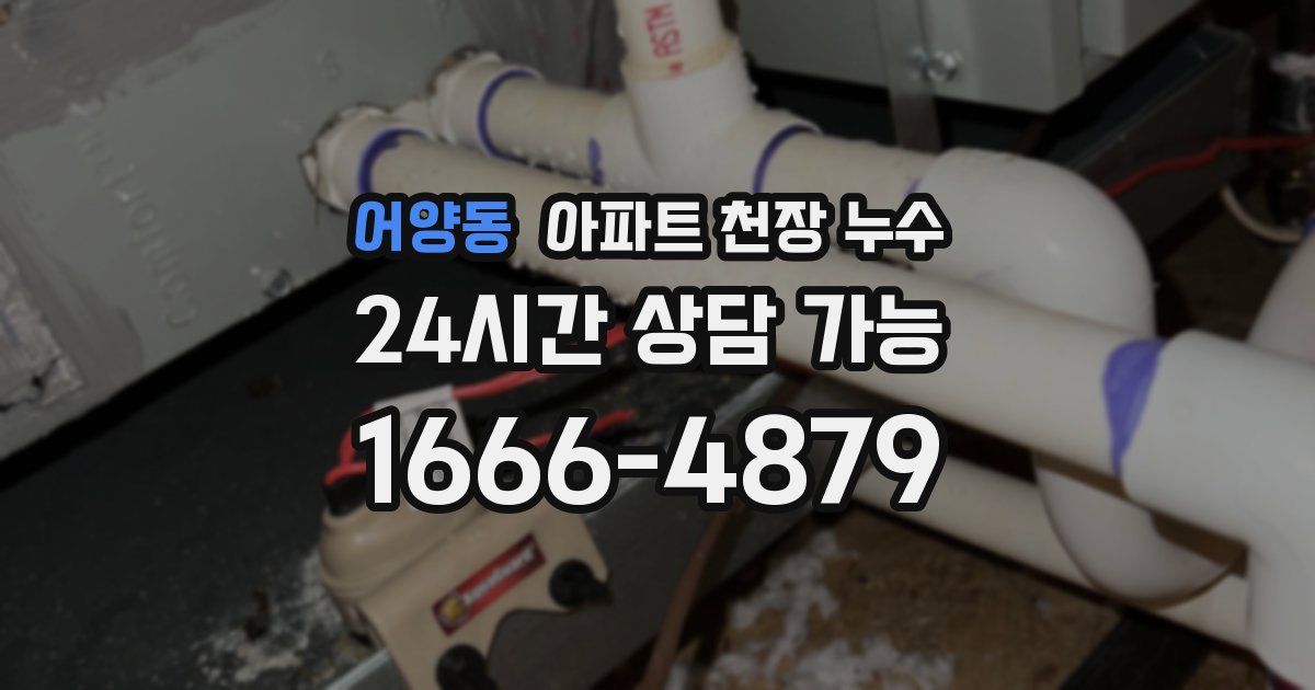 어양동 아파트 천장 누수