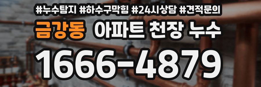금강동 아파트 천장 누수