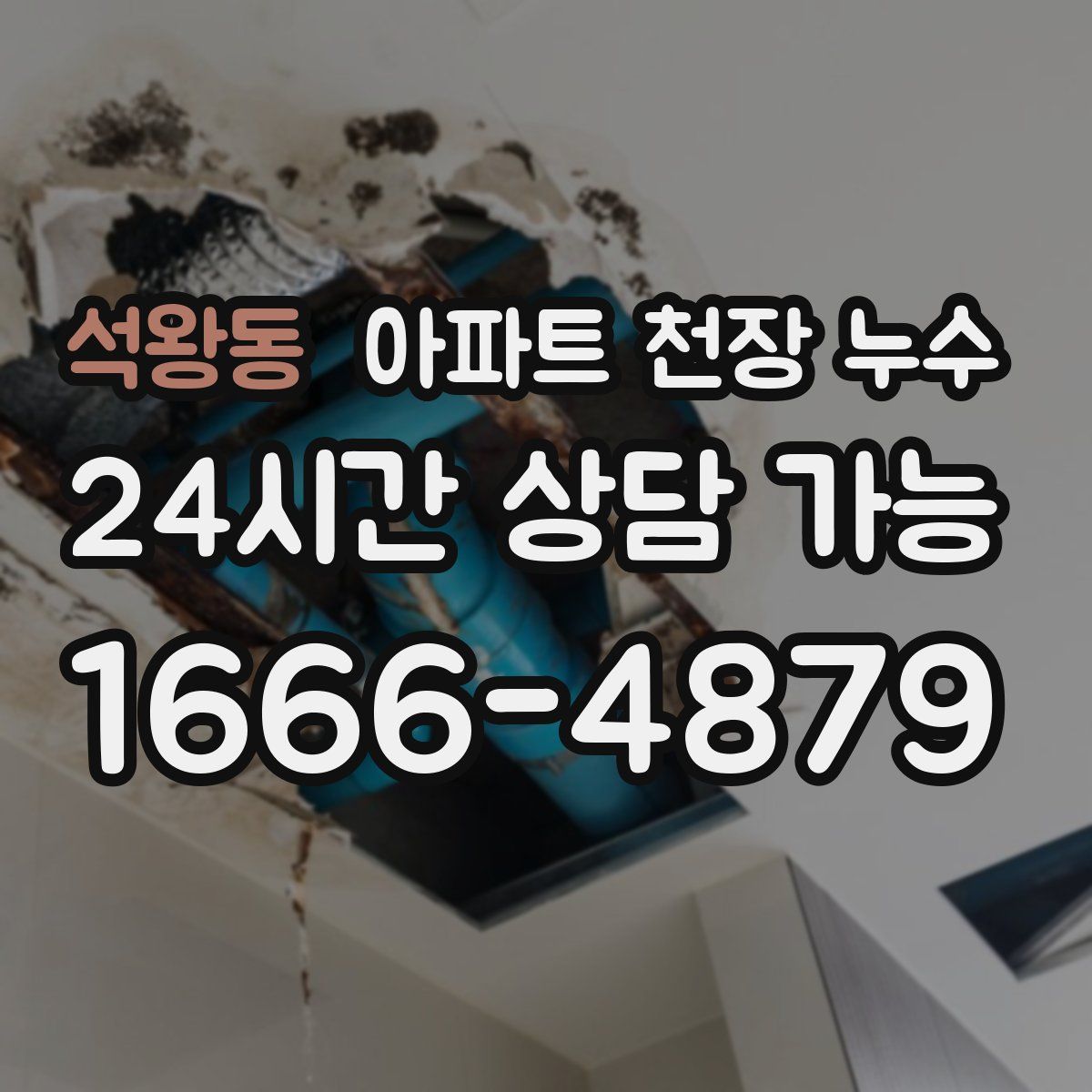 석왕동 아파트 천장 누수