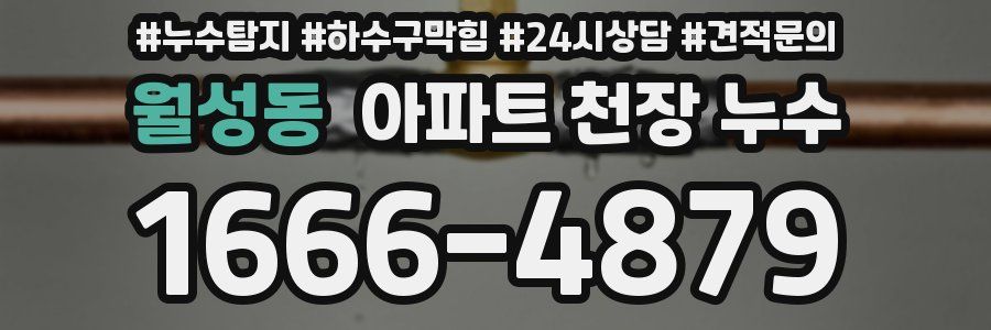 월성동 아파트 천장 누수