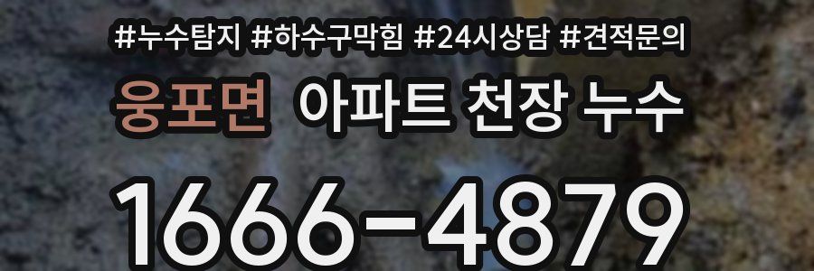 웅포면 아파트 천장 누수