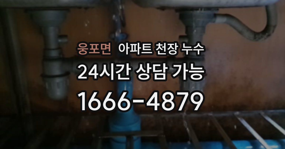 웅포면 아파트 천장 누수