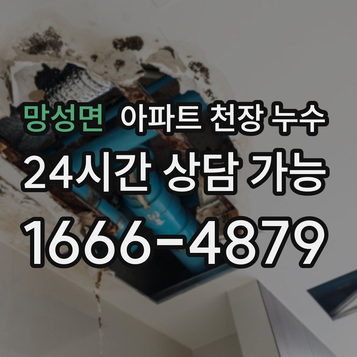 망성면 아파트 천장 누수