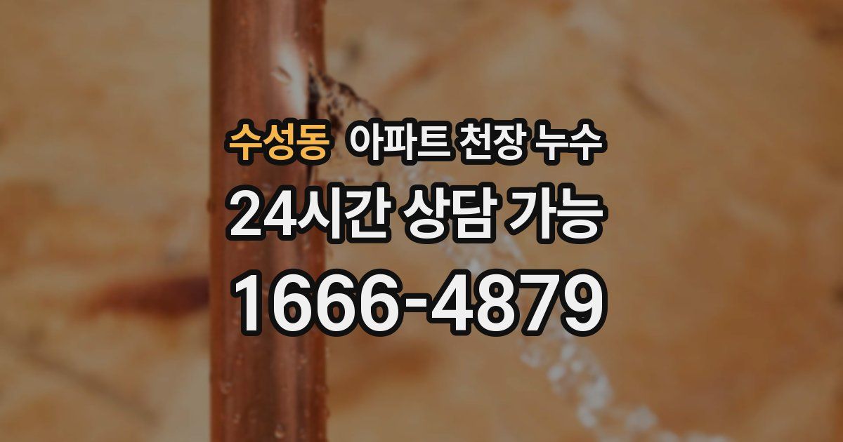 수성동 아파트 천장 누수