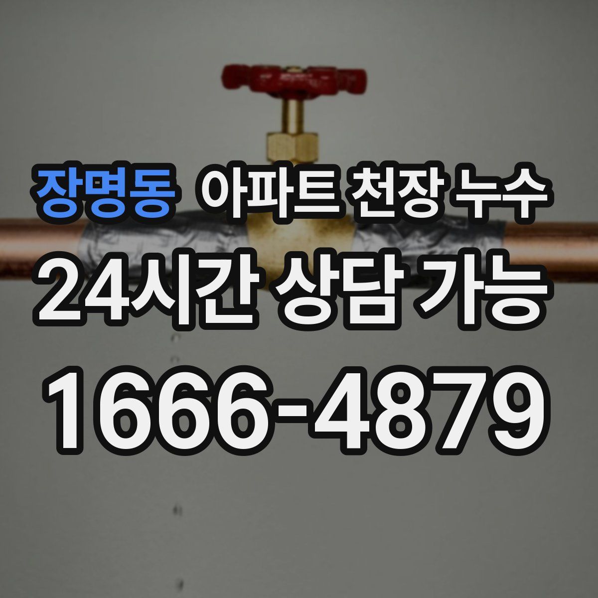 장명동 아파트 천장 누수