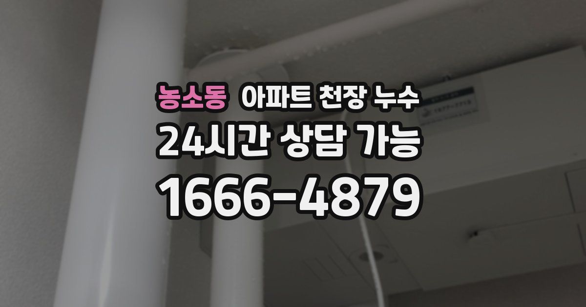 농소동 아파트 천장 누수