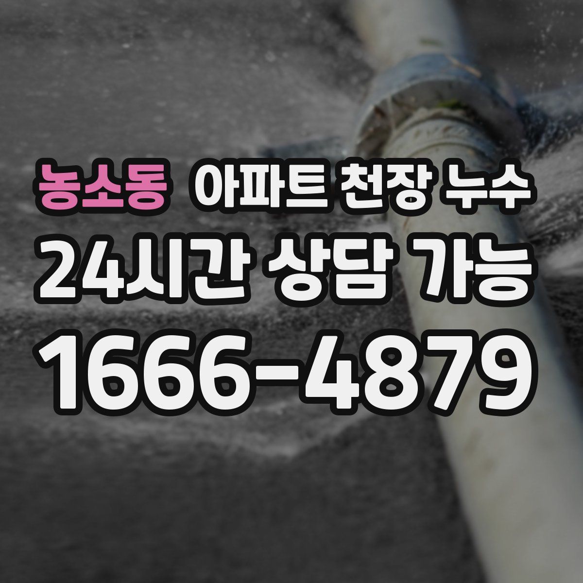 농소동 아파트 천장 누수