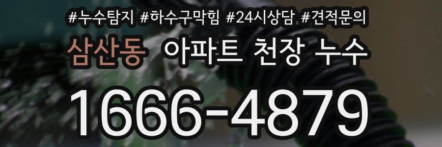 삼산동 아파트 천장 누수