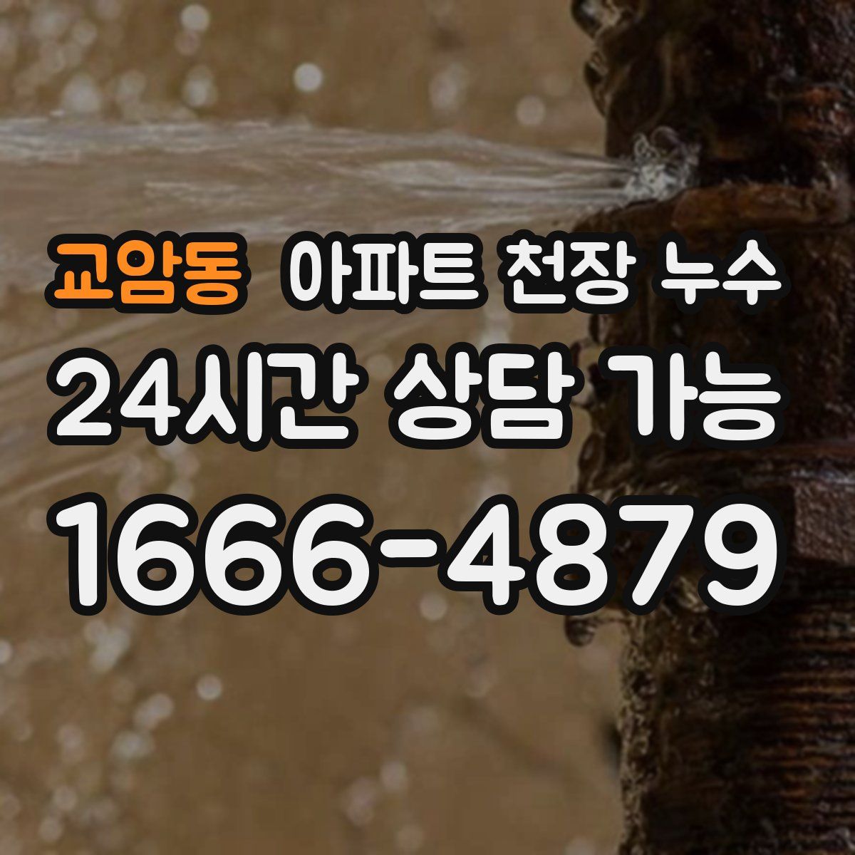 교암동 아파트 천장 누수