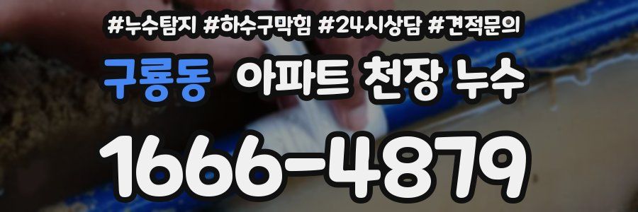 구룡동 아파트 천장 누수
