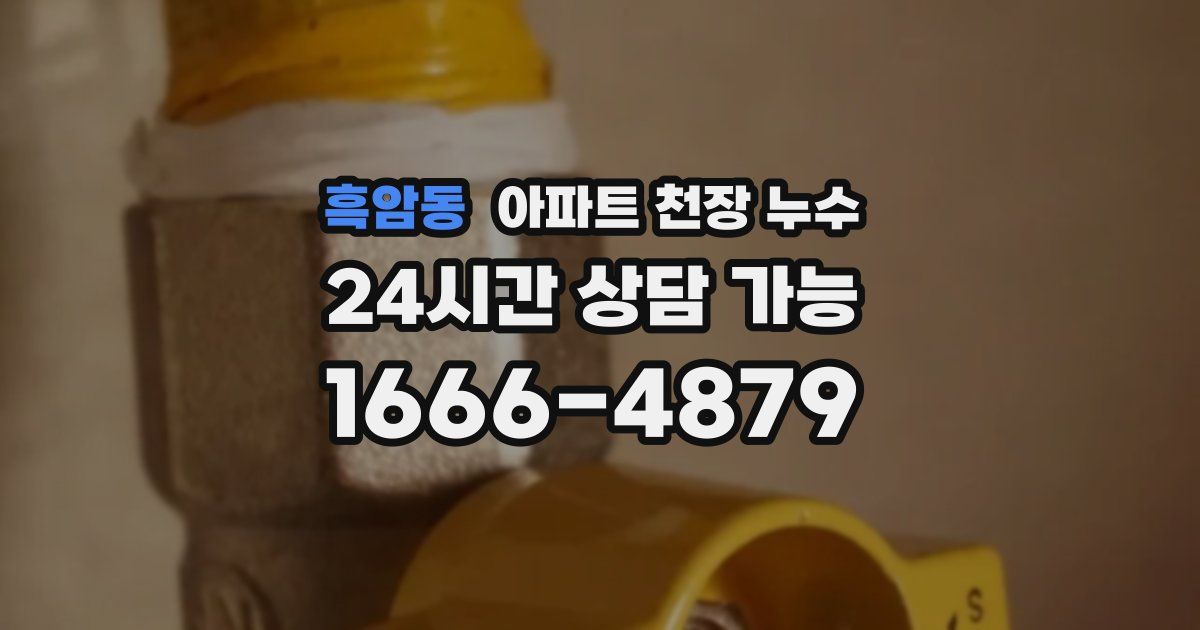 흑암동 아파트 천장 누수