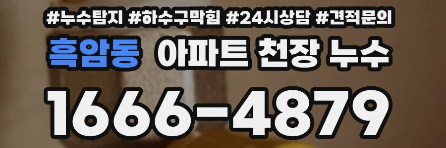 흑암동 아파트 천장 누수