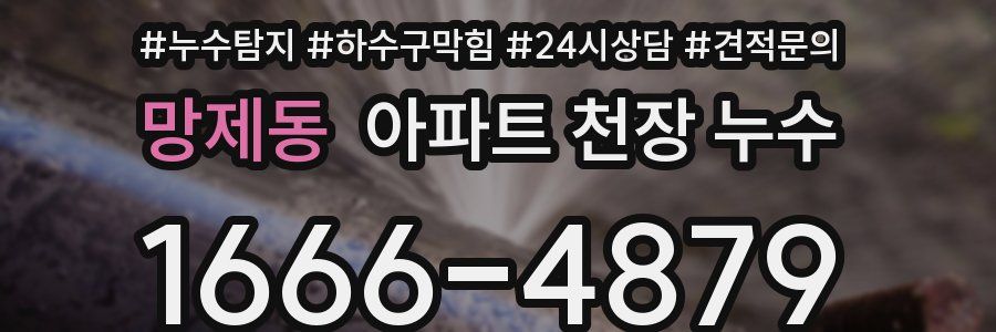 망제동 아파트 천장 누수