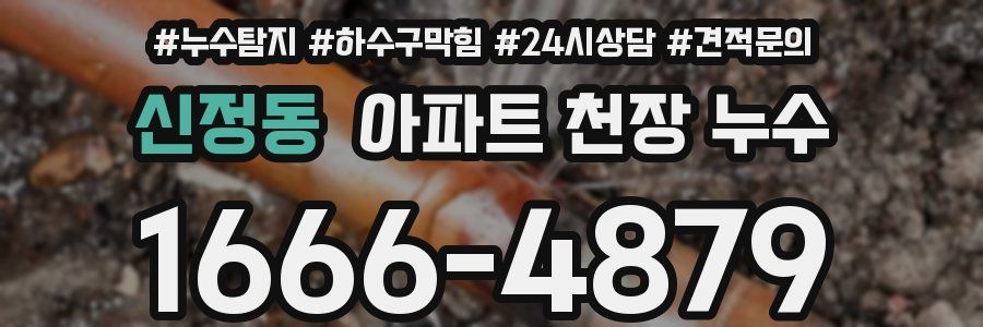 신정동 아파트 천장 누수