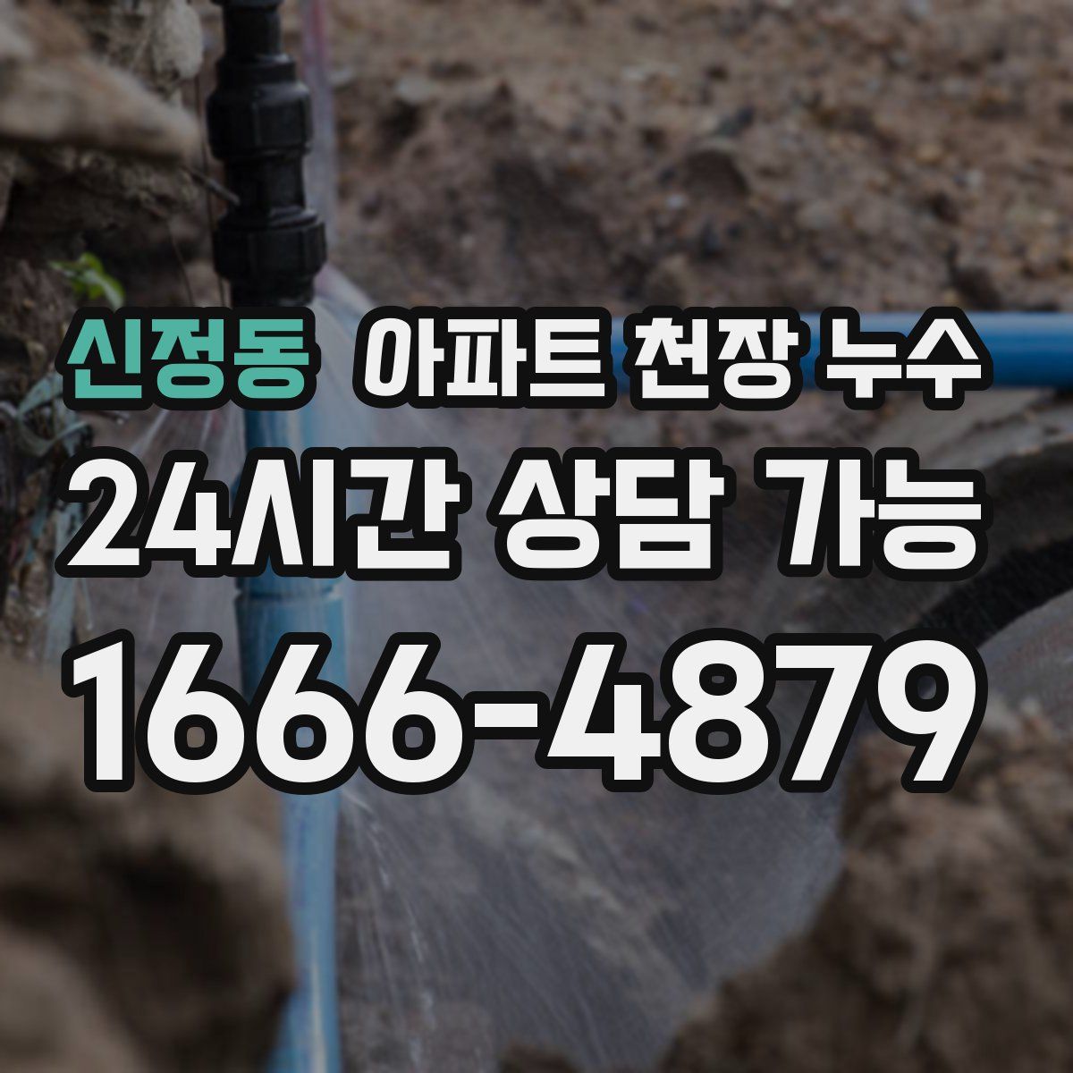 신정동 아파트 천장 누수