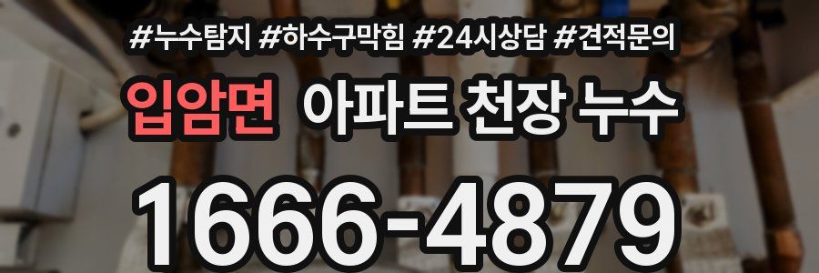 입암면 아파트 천장 누수