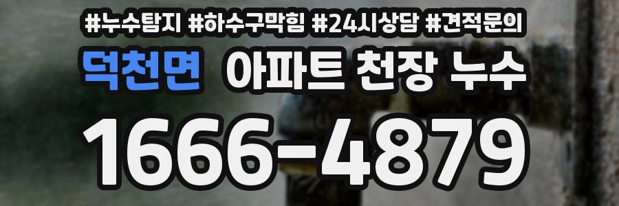 덕천면 아파트 천장 누수
