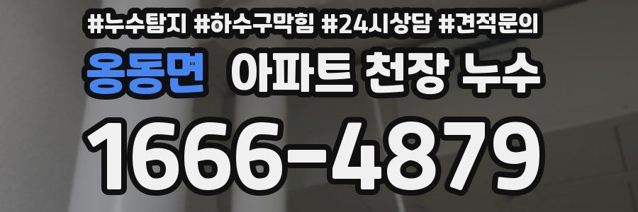 옹동면 아파트 천장 누수
