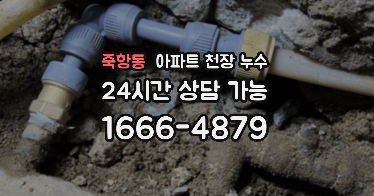 죽항동 아파트 천장 누수