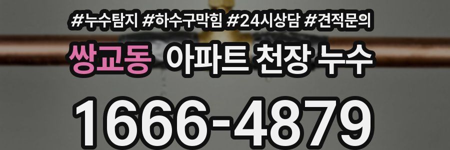 쌍교동 아파트 천장 누수