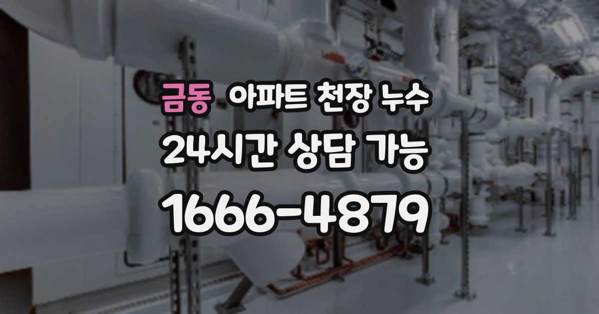 금동 아파트 천장 누수