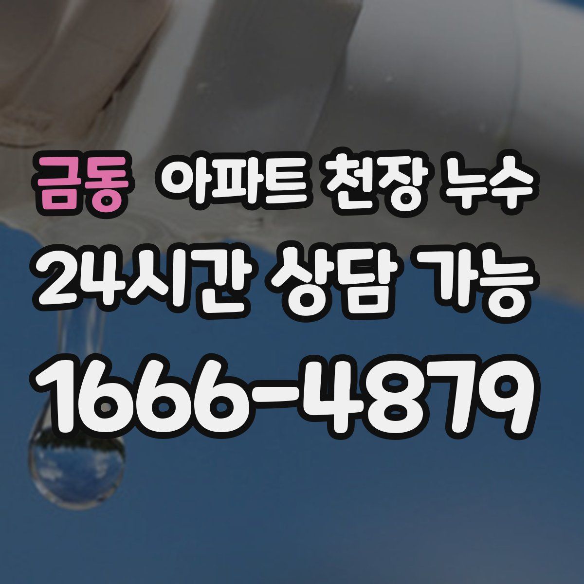 금동 아파트 천장 누수