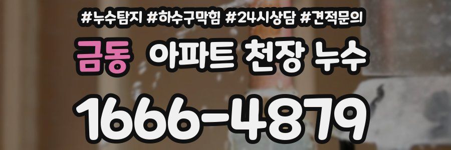 금동 아파트 천장 누수