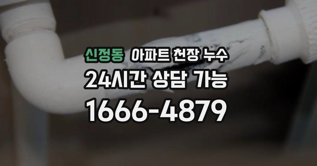 신정동 아파트 천장 누수