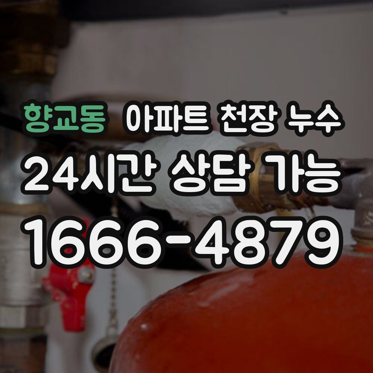 향교동 아파트 천장 누수