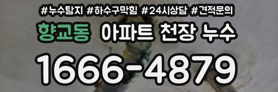 향교동 아파트 천장 누수
