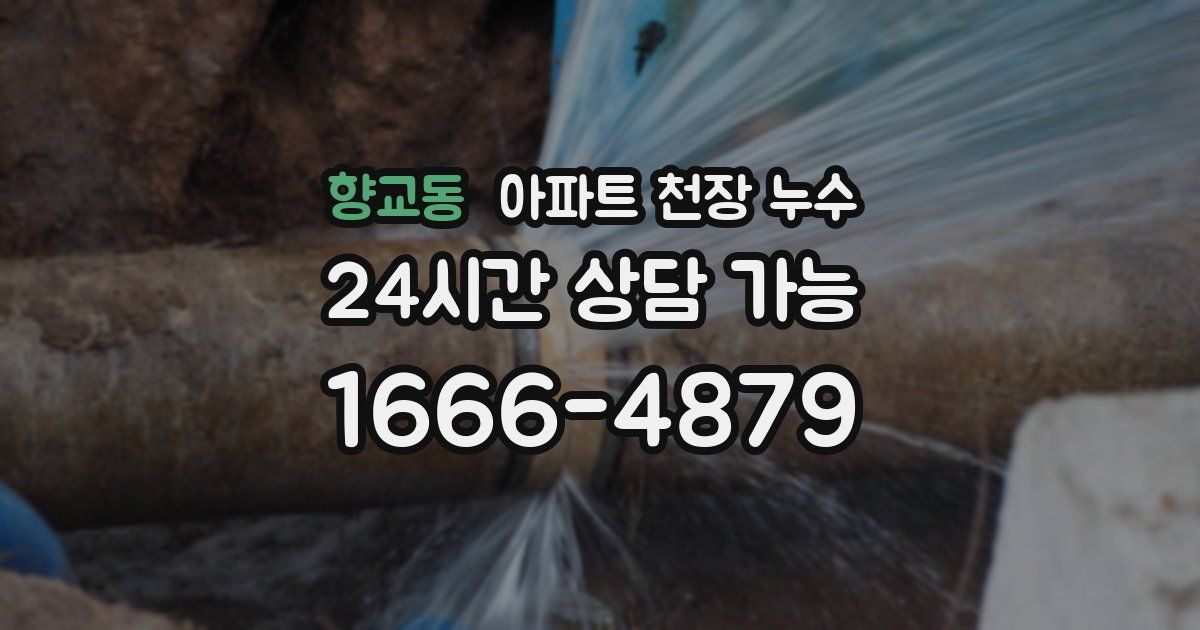 향교동 아파트 천장 누수