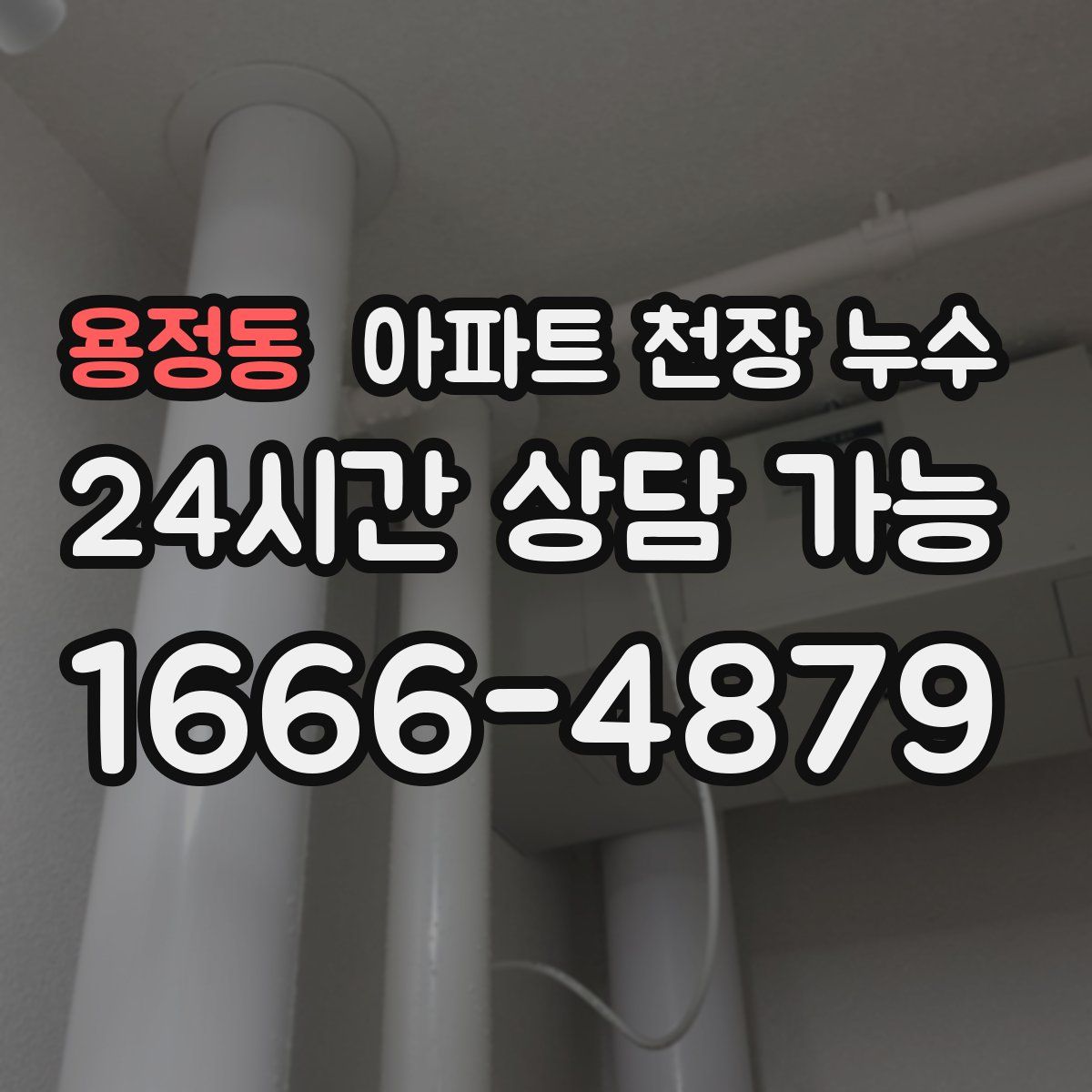 용정동 아파트 천장 누수