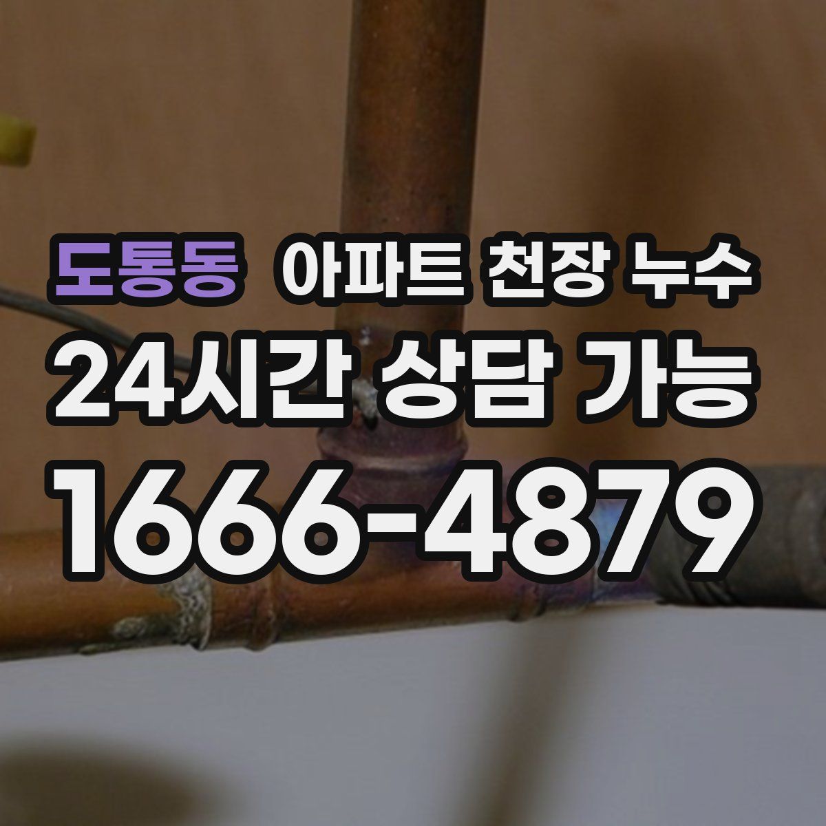 도통동 아파트 천장 누수
