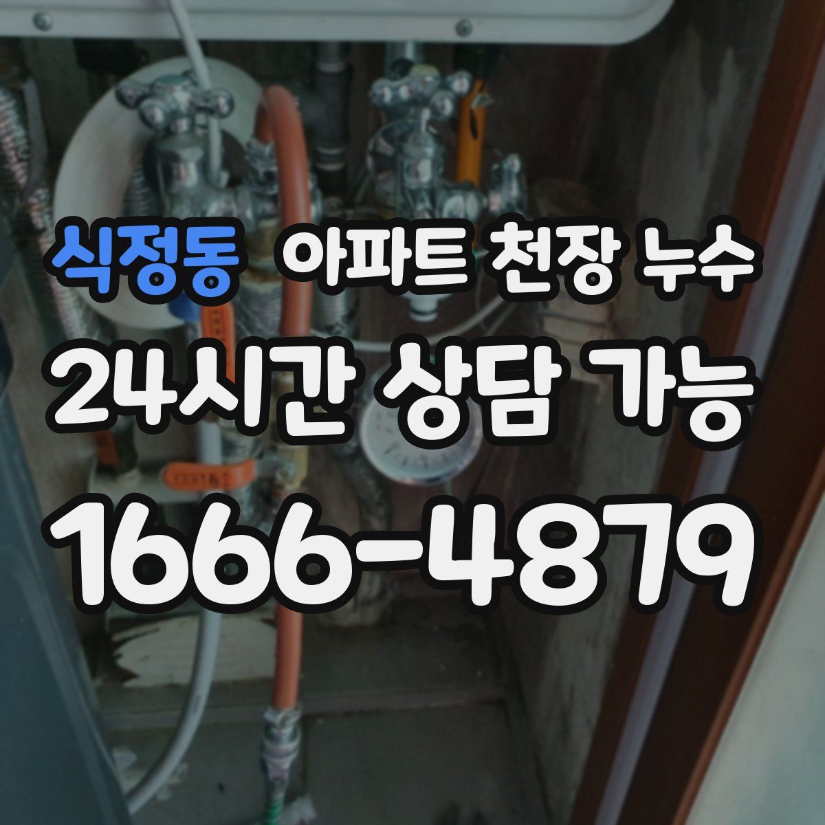 식정동 아파트 천장 누수