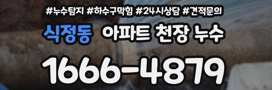 식정동 아파트 천장 누수