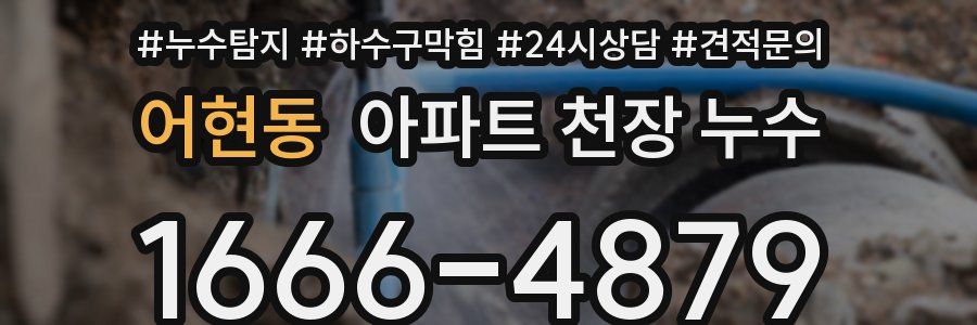 어현동 아파트 천장 누수