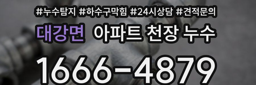 대강면 아파트 천장 누수