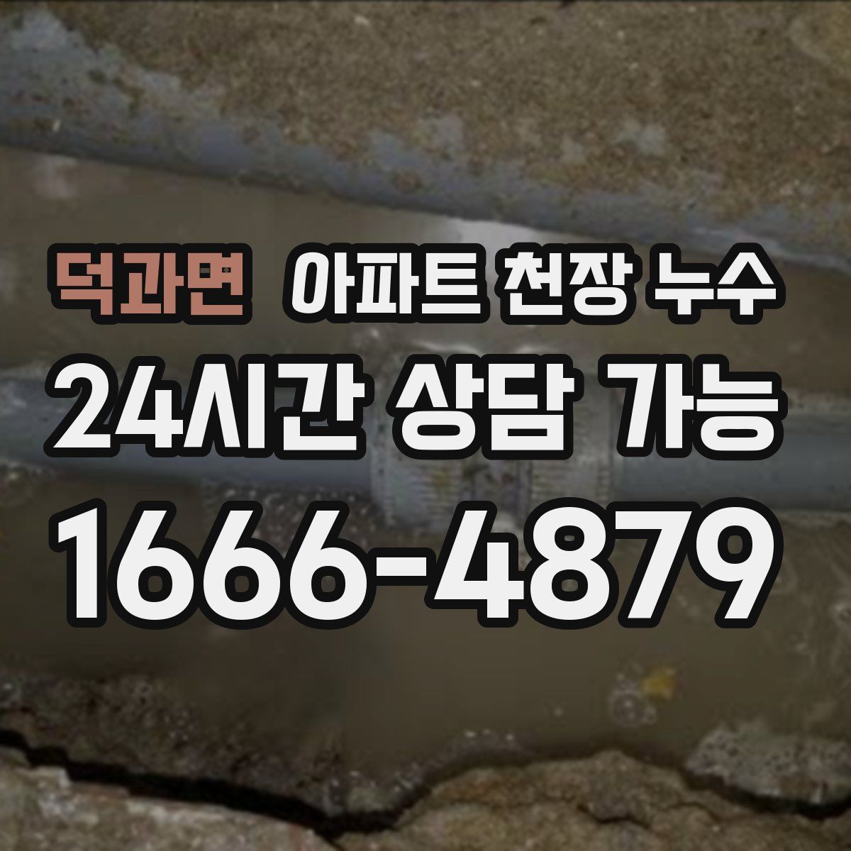 덕과면 아파트 천장 누수