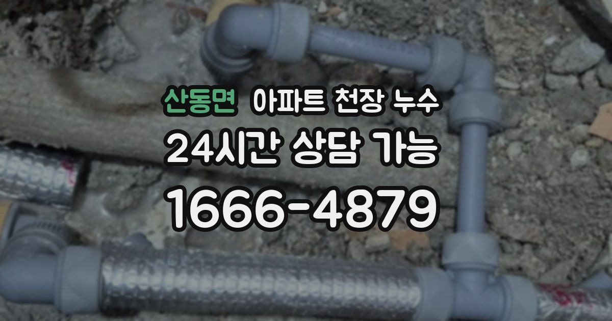 산동면 아파트 천장 누수