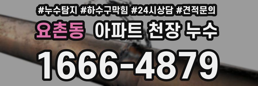 요촌동 아파트 천장 누수