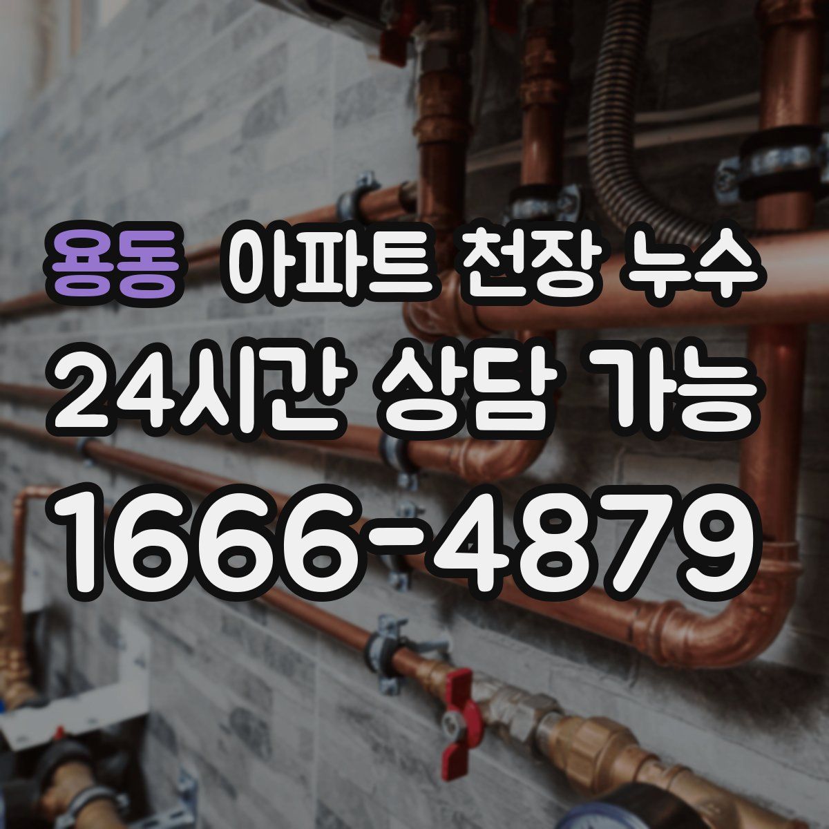 용동 아파트 천장 누수