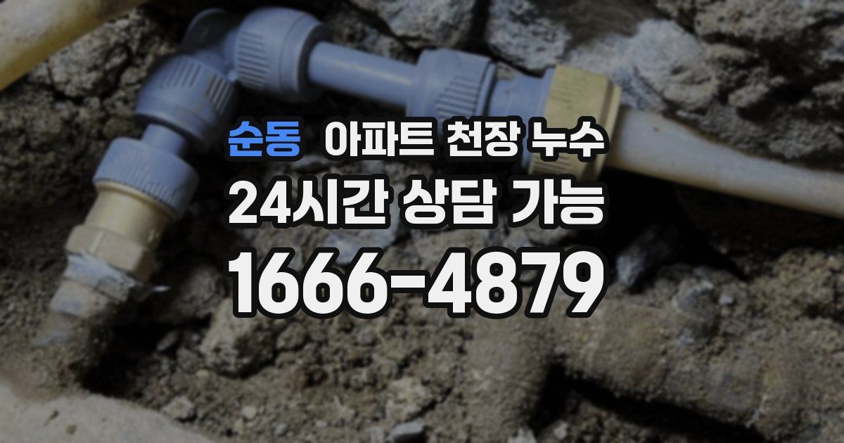 순동 아파트 천장 누수