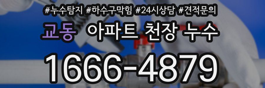 교동 아파트 천장 누수