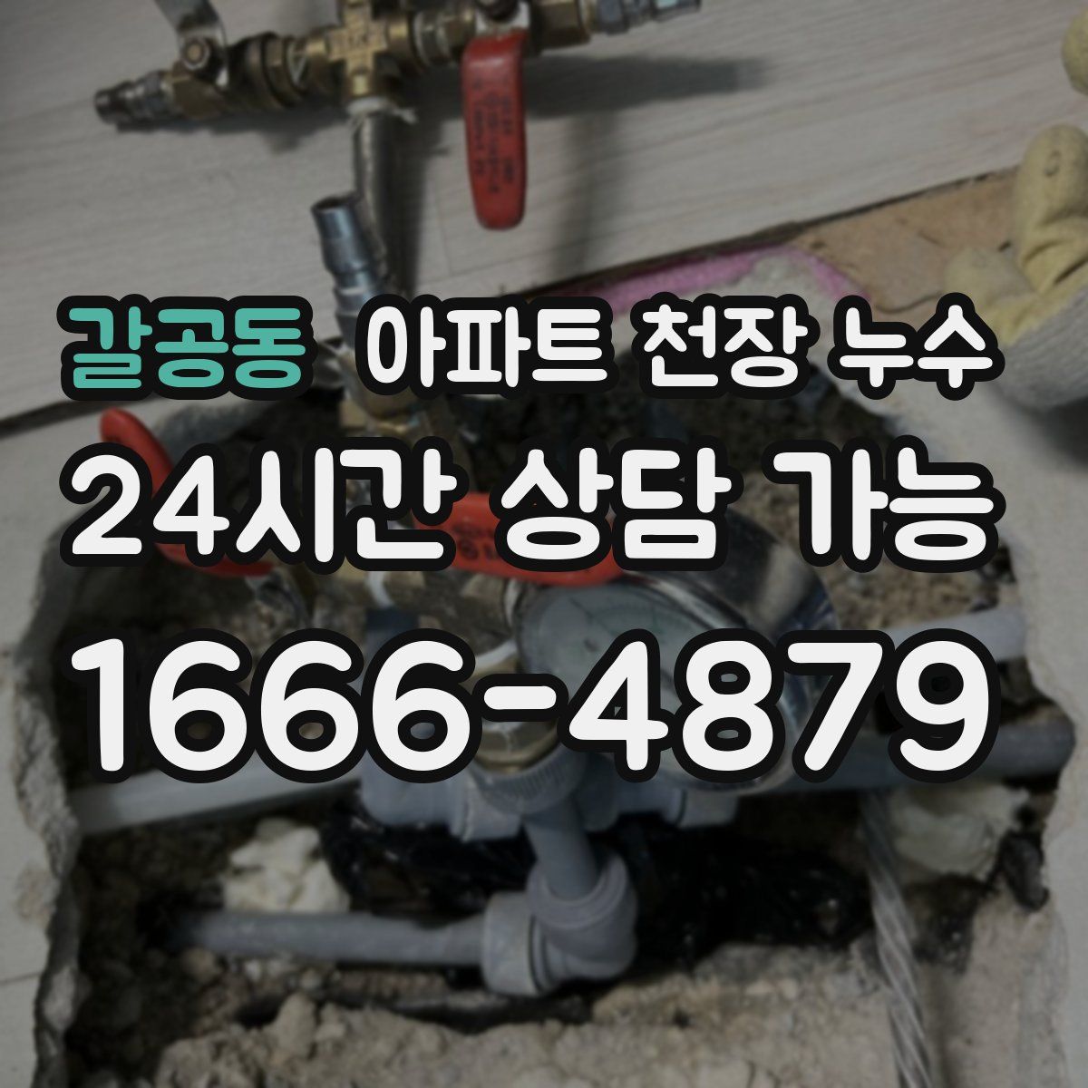 갈공동 아파트 천장 누수
