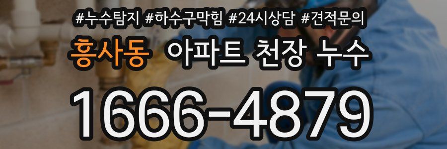 흥사동 아파트 천장 누수