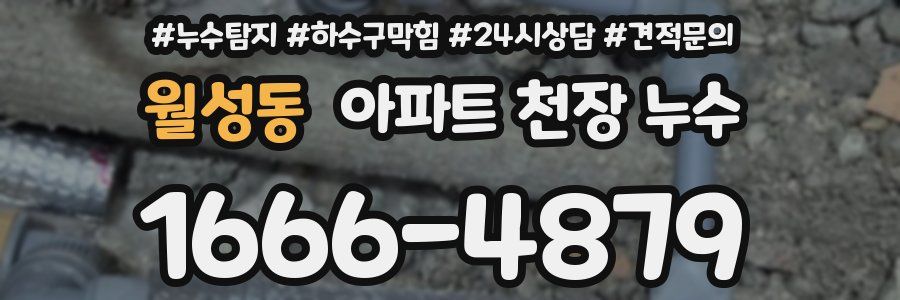 월성동 아파트 천장 누수