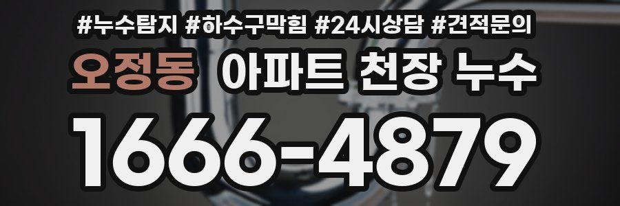 오정동 아파트 천장 누수