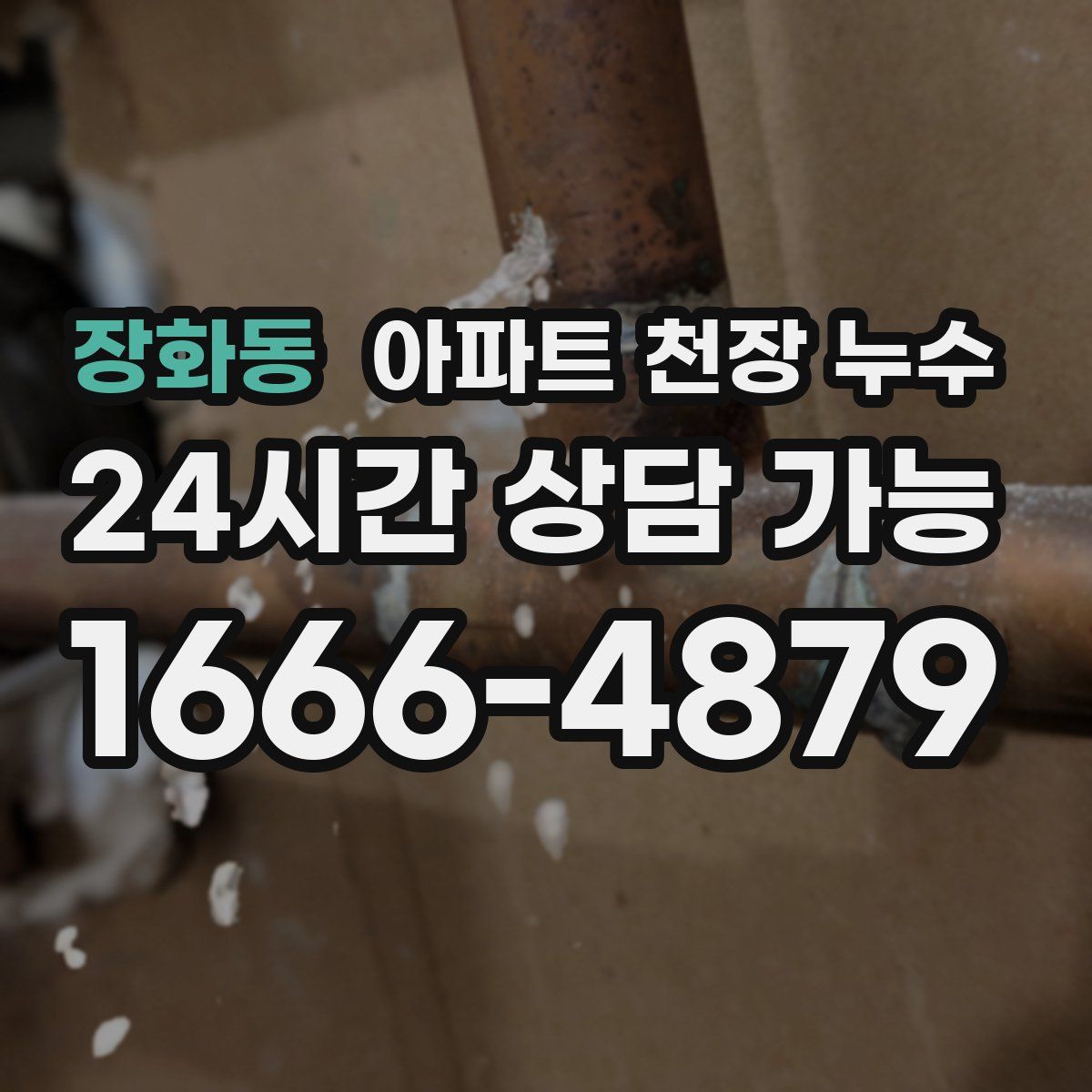 장화동 아파트 천장 누수